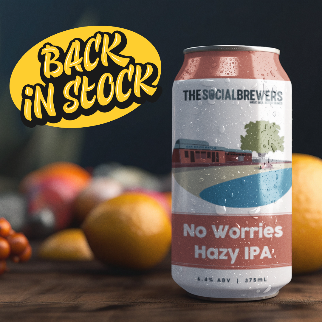 No Worries Hazy IPA - 375mL Cans